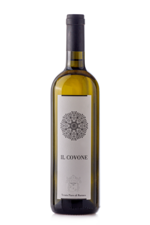 IL COVONE